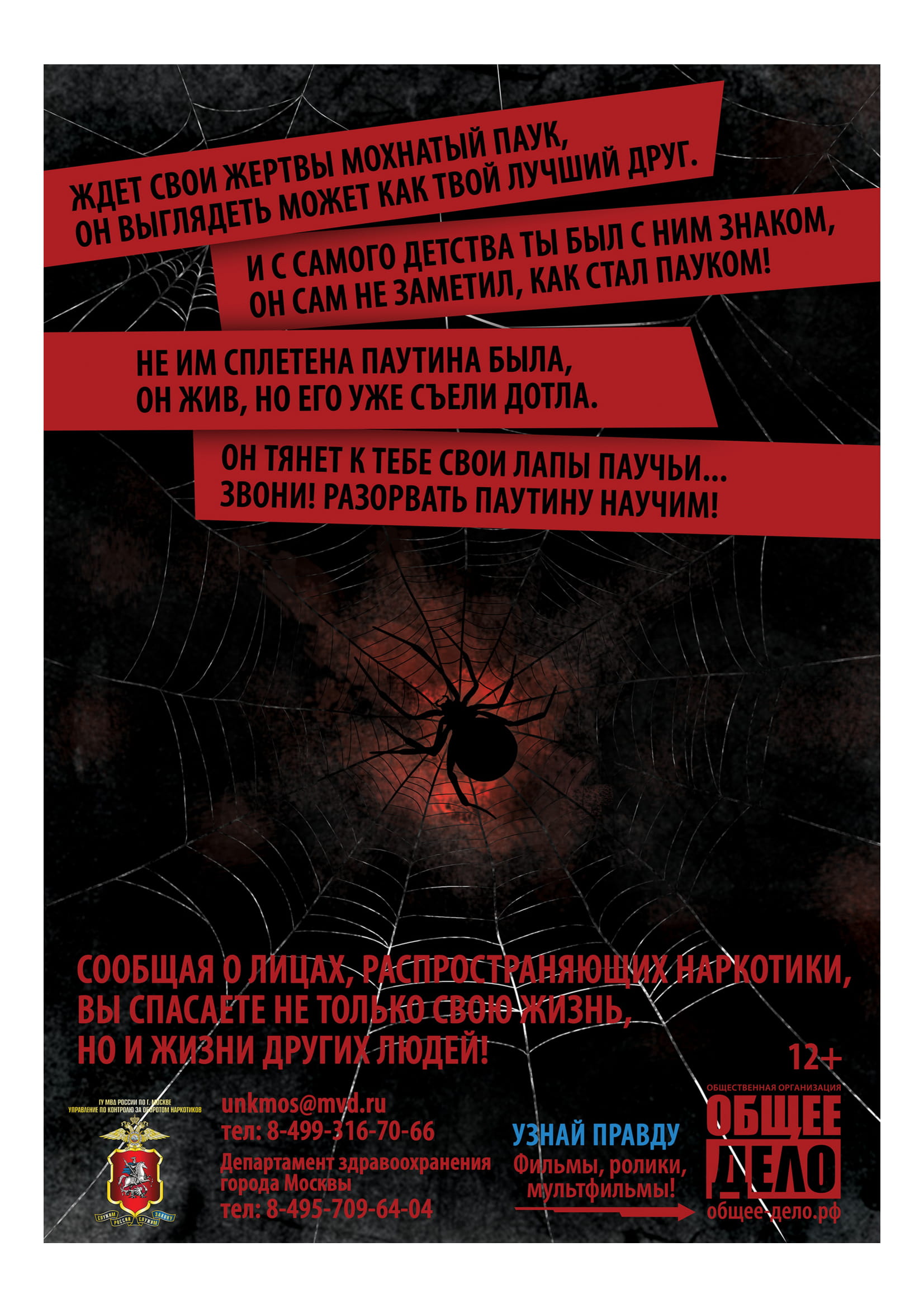 Паук