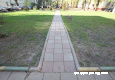 bal_1458.jpg