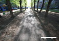 bal_1471.jpg