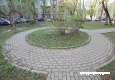 bal_1467.jpg