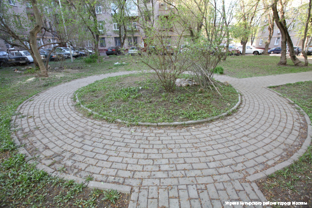 bal_1467.jpg
